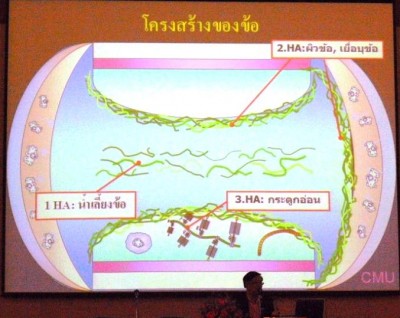 ประชุมวิชาการเภสัชจุฬา 36.JPG