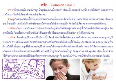 ใบความรู้ 32 หวัด.JPG