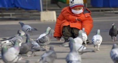 h7n9 2.jpg