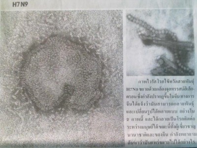 h7n9 real.jpg