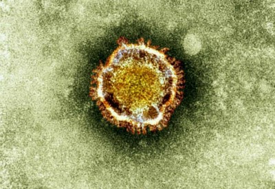 new novel coronavirus.jpg