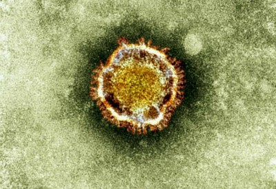 new novel coronavirus.jpg (101 KiB) เปิดดู 19200 ครั้ง new novel coronavirus.jpg