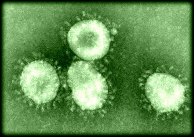 coronavirus.jpg (38.78 KiB) เปิดดู 19193 ครั้ง coronavirus.jpg