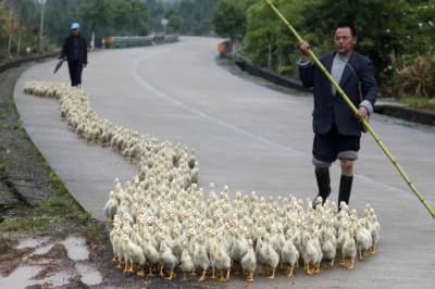 11.jpg (80.71 KiB) เปิดดู 16524 ครั้ง 11.jpg