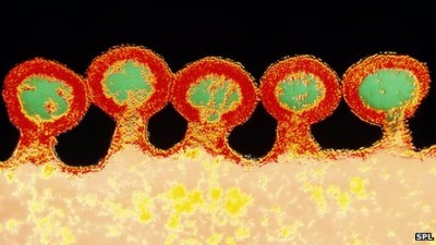 hiv.jpg