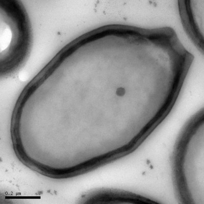 556000009403501.jpg (105.29 KiB) เปิดดู 15387 ครั้ง 556000009403501.jpg