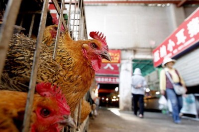 556000010253201.jpg (64.84 KiB) เปิดดู 15227 ครั้ง 556000010253201.jpg