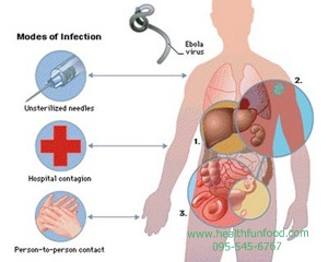 Ebola21 (Copy).jpg