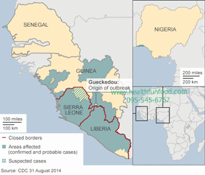 ebola truth1.gif