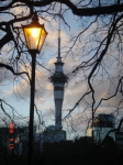 Resize_of_Rotation_of_nz_38.JPG (41.84 KiB) เปิดดู 9367 ครั้ง Resize_of_Rotation_of_nz_38.JPG